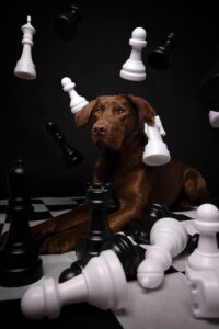 Daniela Schnabel-Sahm