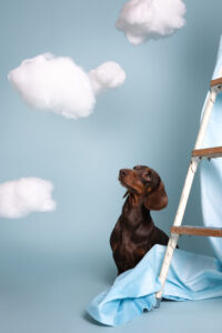 Daniela Schnabel-Sahm